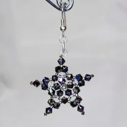 Hook pierces - Silver brass - Earrings Corvus - Hook pierces - Silver brass - Laiton argenté